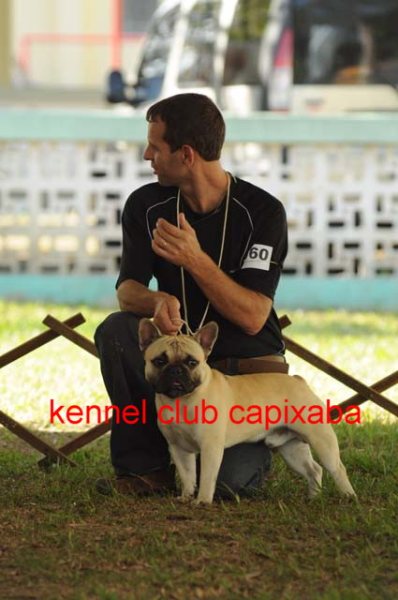 Clique sobre a foto para fechar